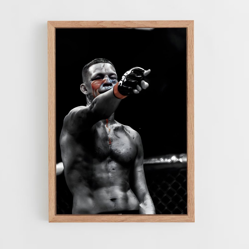 Poster Nate Diaz: Fight or Flight – affiche MMA (vue 4)